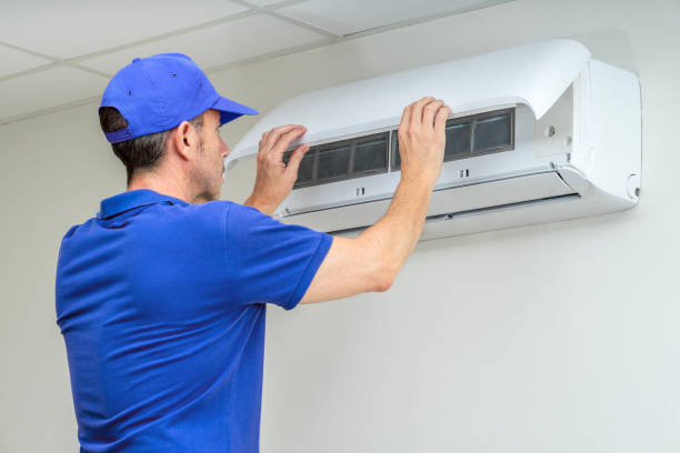 Best Air Duct Mold Removal  in Holden, MO